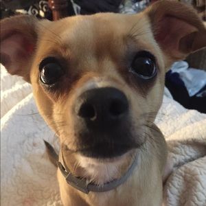 Meet your Posher, Tracie